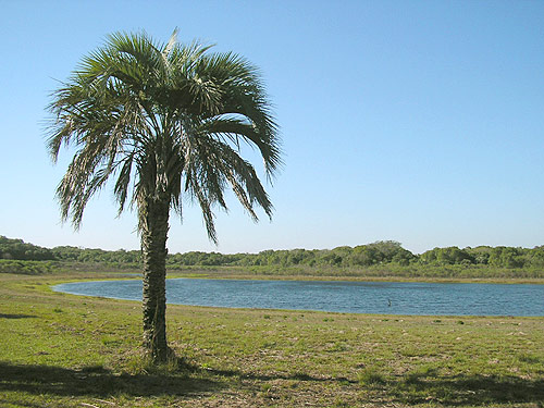 Parque Nacional Mburucuya